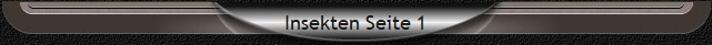Insekten Seite 1