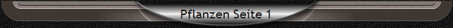 Pflanzen Seite 1