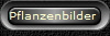 Pflanzenbilder 