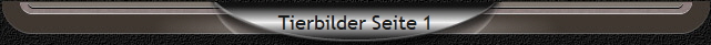 Tierbilder Seite 1