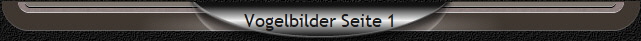 Vogelbilder Seite 1